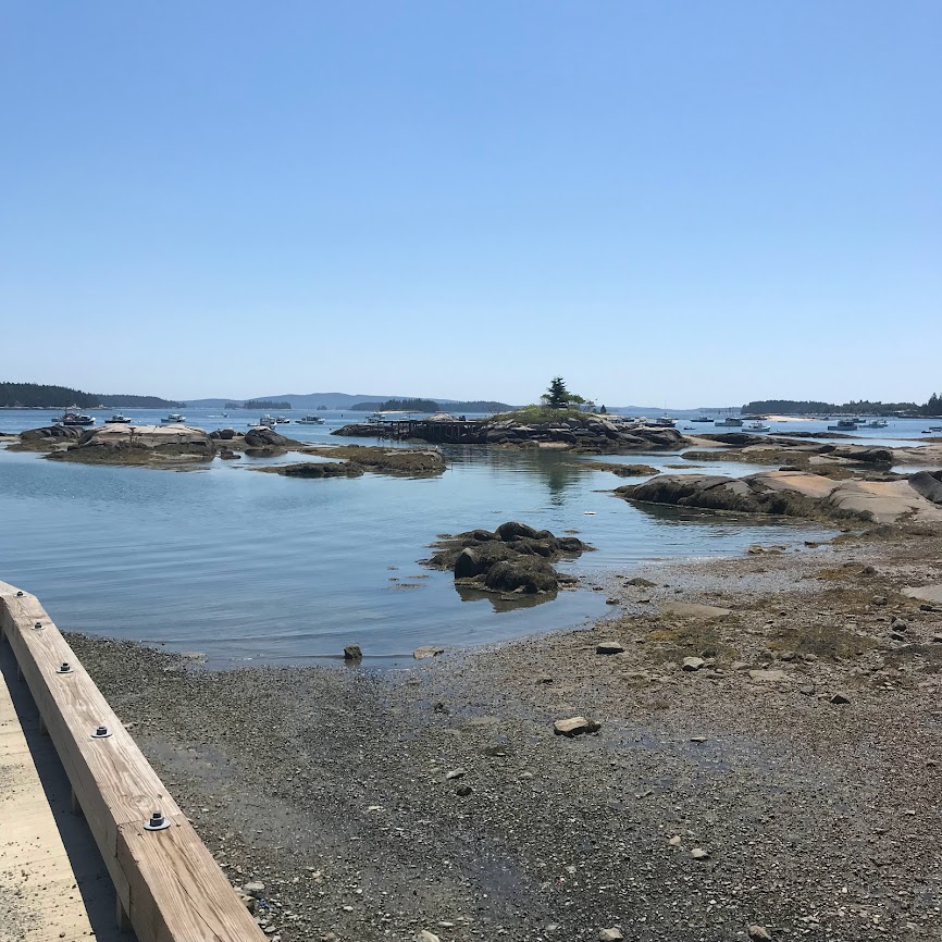 Coastal and shore views from the harbor in Stonington, Maine.