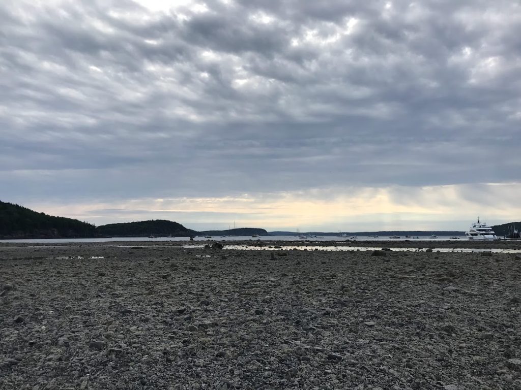 Top easy hikes in Acadia National Park with Dogs is Sand Bar Trail!