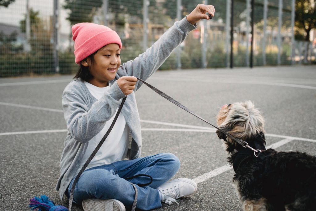 young kid is trying to lure her small pup into a sit.  The small dog is licking his chomps and trying to figure out how to get the treat.