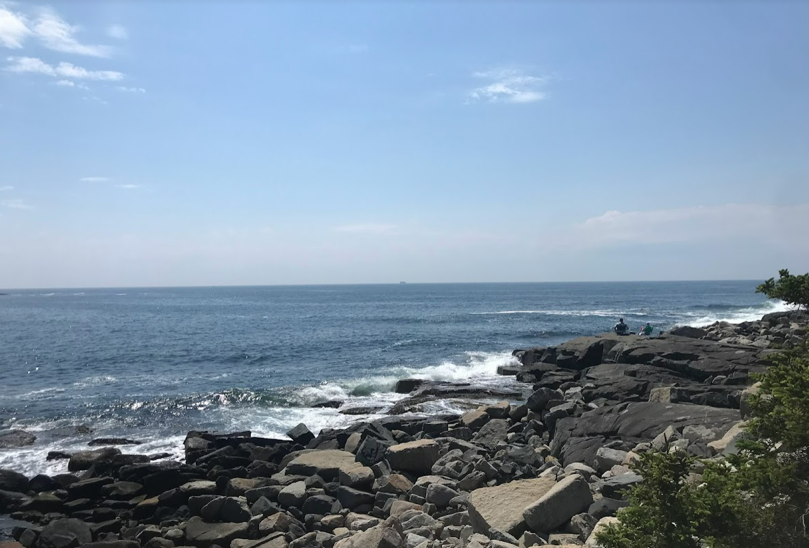 Views of Schoodic Peninsula in Acadia National Park showing rocky coastlines and waves crashing onto the shore.