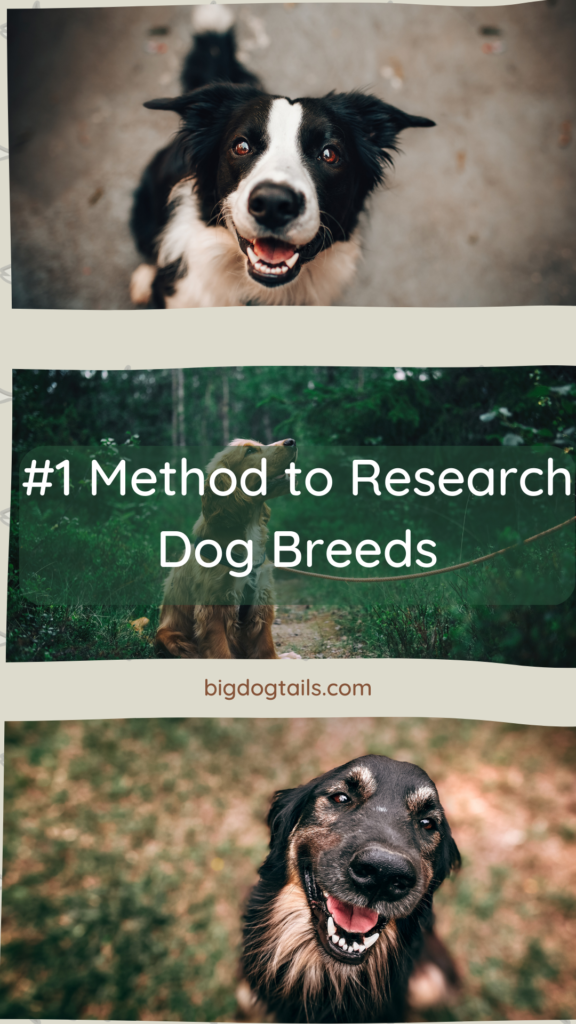 #1 Method to Research Dog Breeds