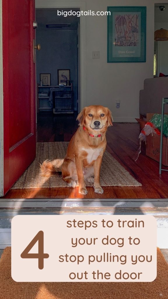 It only takes 4 steps to train your dog to stop pulling you out the door.  Train him to sit and wait for you to open the door first.  