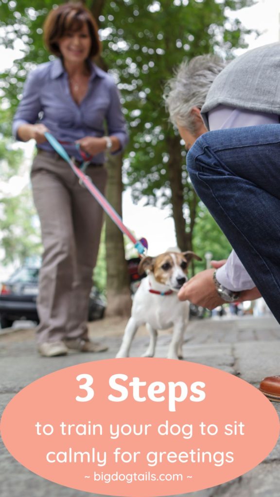 Train your dog to sit politely when meeting strangers on his leash in 3 easy steps.