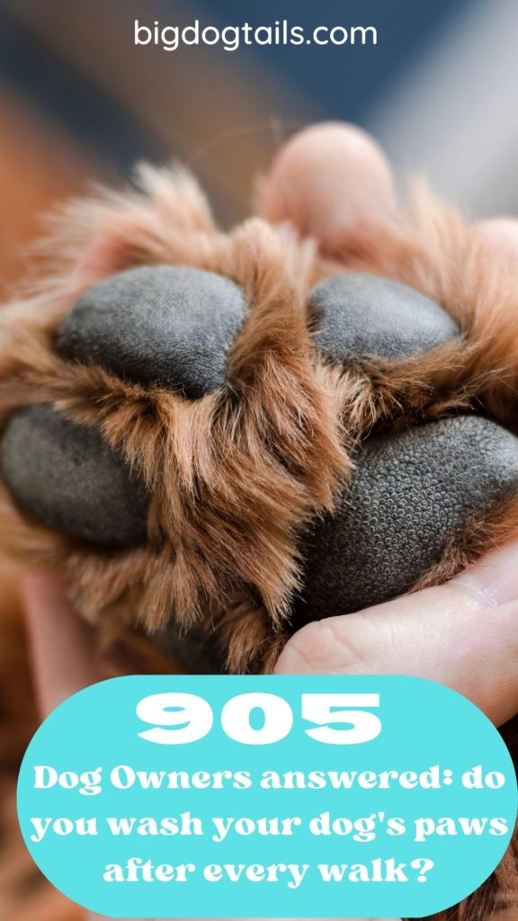 We surveyed 905 dog owners to answer the question: do you wash your dog's paws after every walk?  