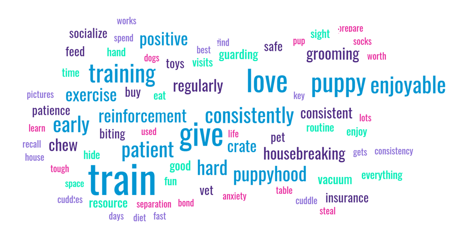 Word Storm of 155 dog owners advice for first time dog owners.  Largest words include: train, training, give, love, puppy, enjoyable, early, positive, consistently, reinforcement, exercise, hard, crate, housebreaking, chew, patience, grooming