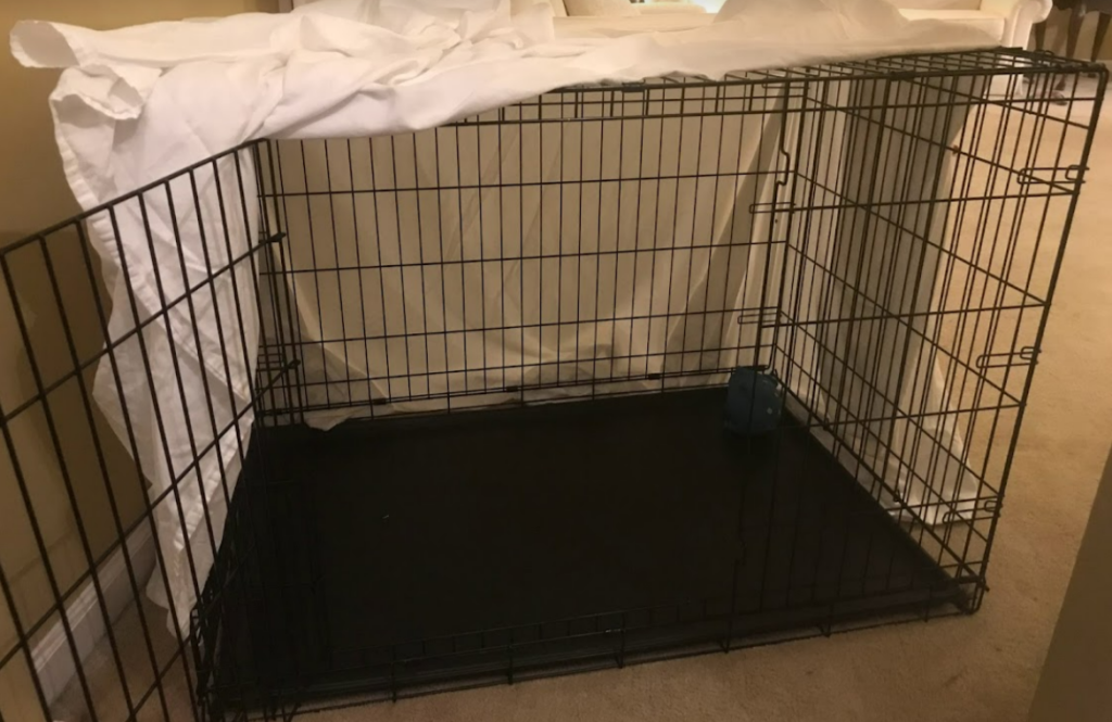 A large wire crate, opened for a dog to enter.  it has a sheet over it to help keep it dark inside the crate.