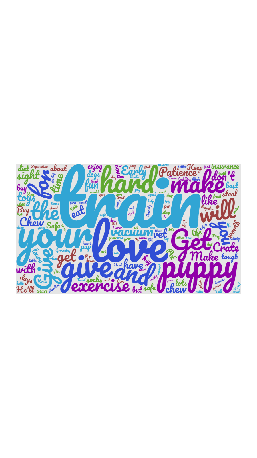 A word storm showing the top words 59 dog owners used when asked - what is your advice for a first time dog owner? The biggest word in the storm is train.