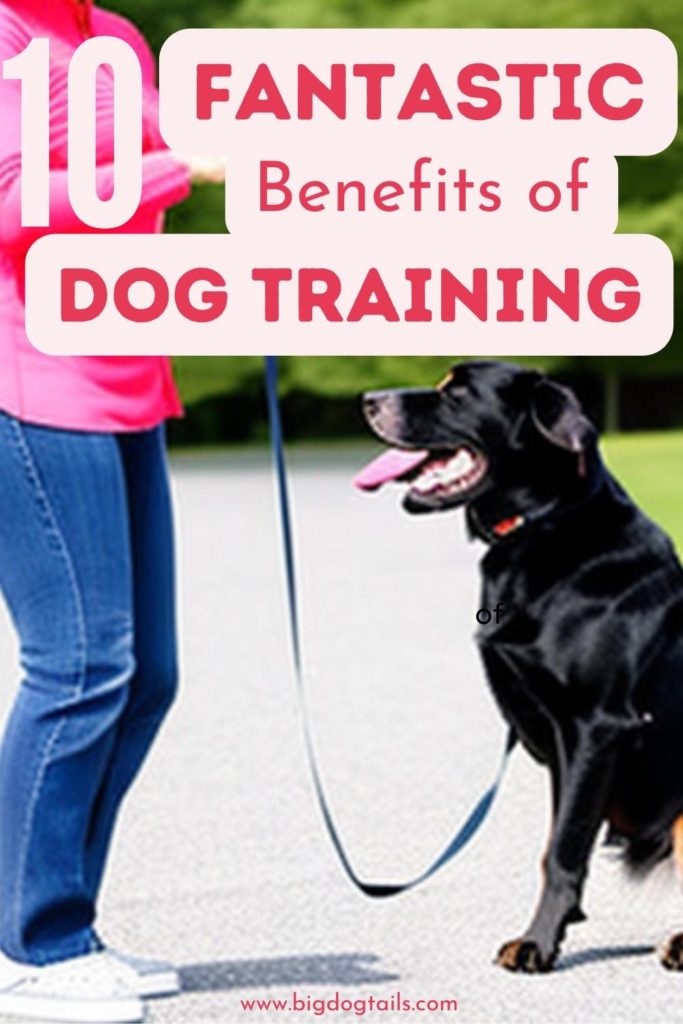 a woman with her dog on a leash, they are facing each other in a training session.