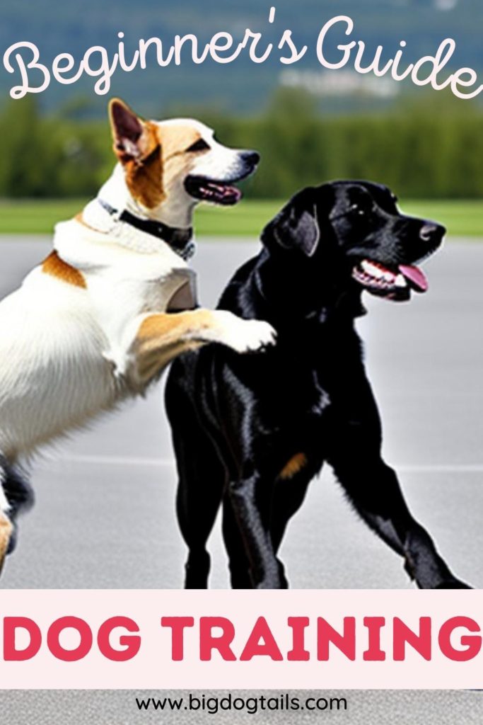 two dog's playing on pavement with mountains in the background.  The beginner's guide to dog training.