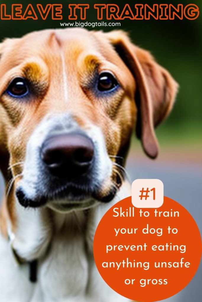 Cute brown and white dog looking with expressive eyes.  Leave It Training: #1 Skill to train your dog to prevent eating anything unsafe or gross.