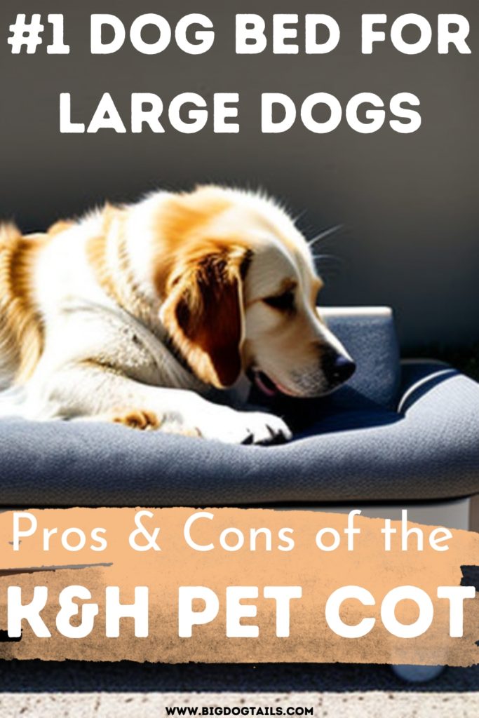 an older golden retriever laying down on an elevated dog bed.  #1 Dog Bed for Large Dogs: The Pros & Cons of the K&H Pet Cot