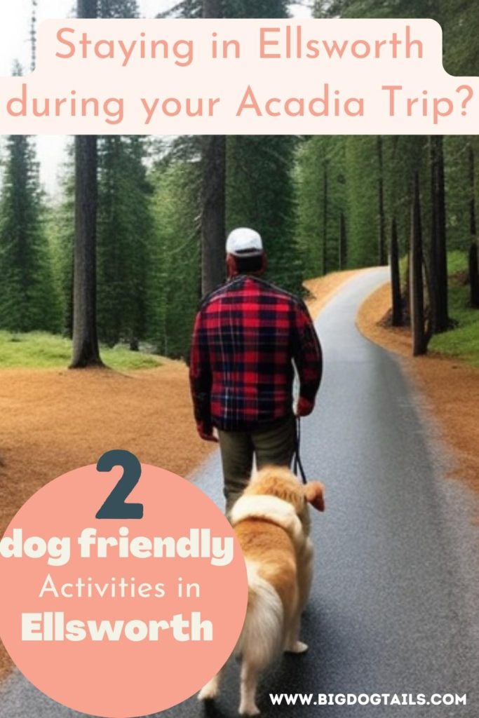 A man dressed like a lumberjack is walking in the woods with his dog.  Staying in Ellsworth during your Acadia Trip?  2 dog friendly activities in Ellsworth!