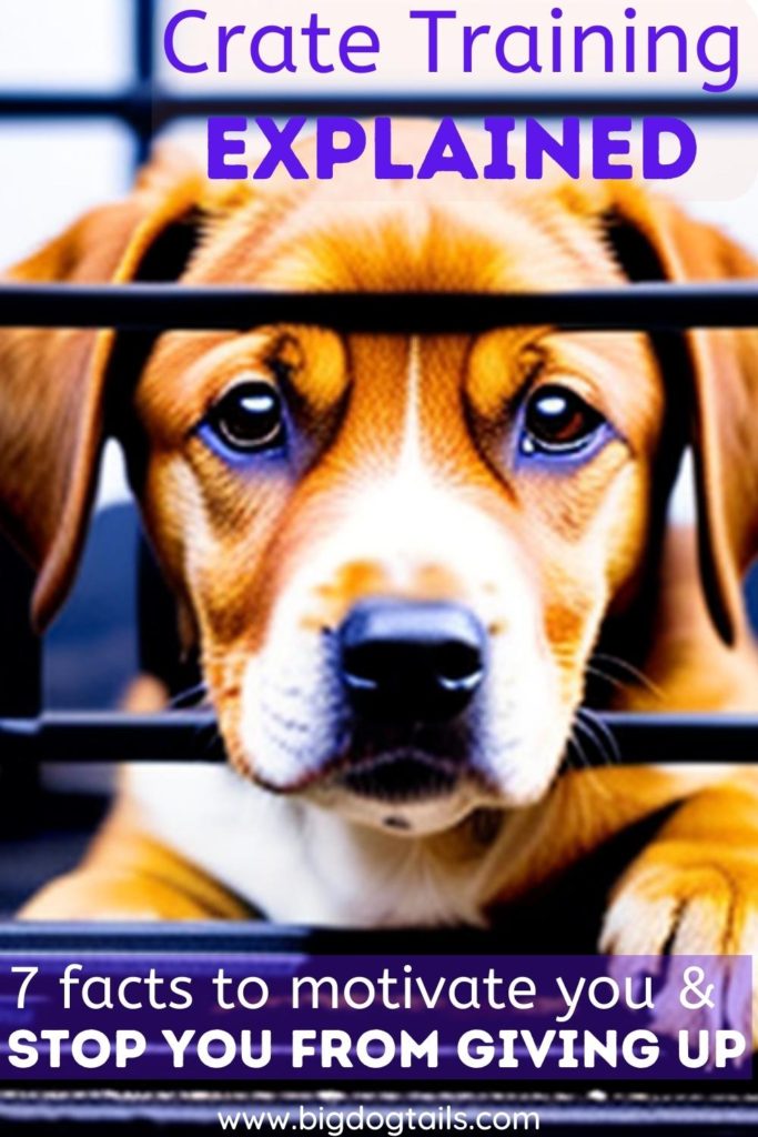 Sad looking puppy in a crate sticking his paw outside, wanting to be let out of his crate.