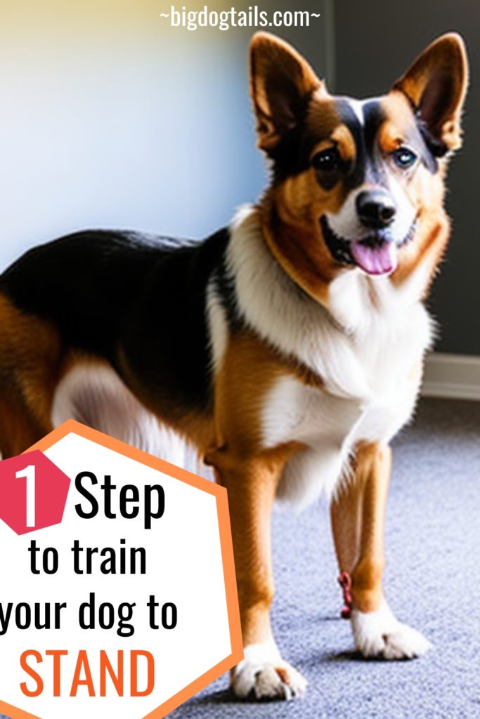 Dog Standing up - 1 step to train your dog to stand.