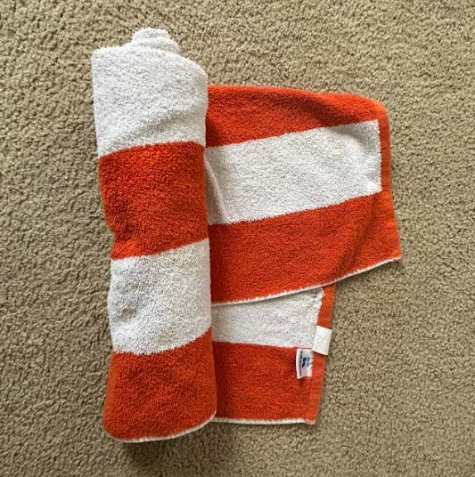 Striped towel positioned on the floor for a dog to unroll it..